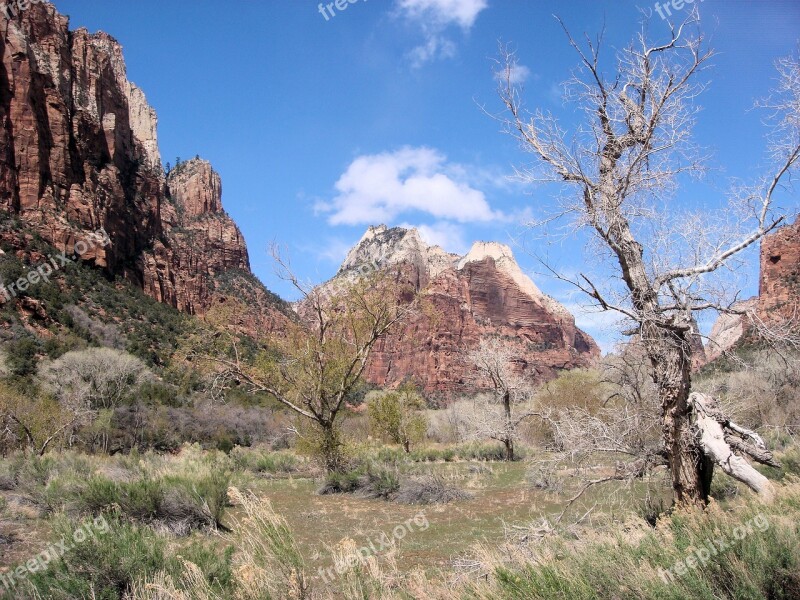 Zion National Park National Park Rock Formation America United States