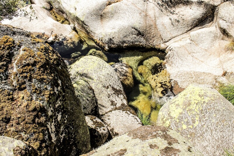 Nature Agua Rio Wild Nature Beach