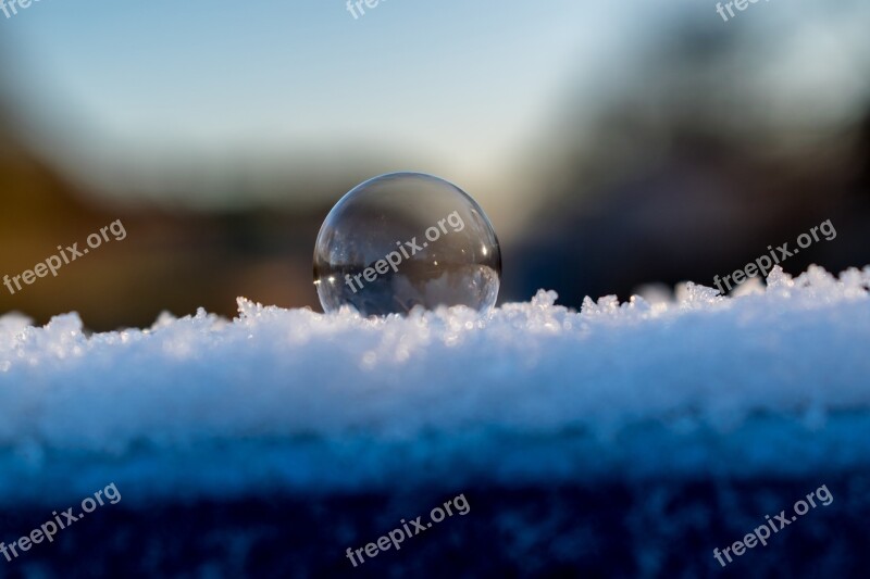 Soap Bubble Winter Cold Blue Nature