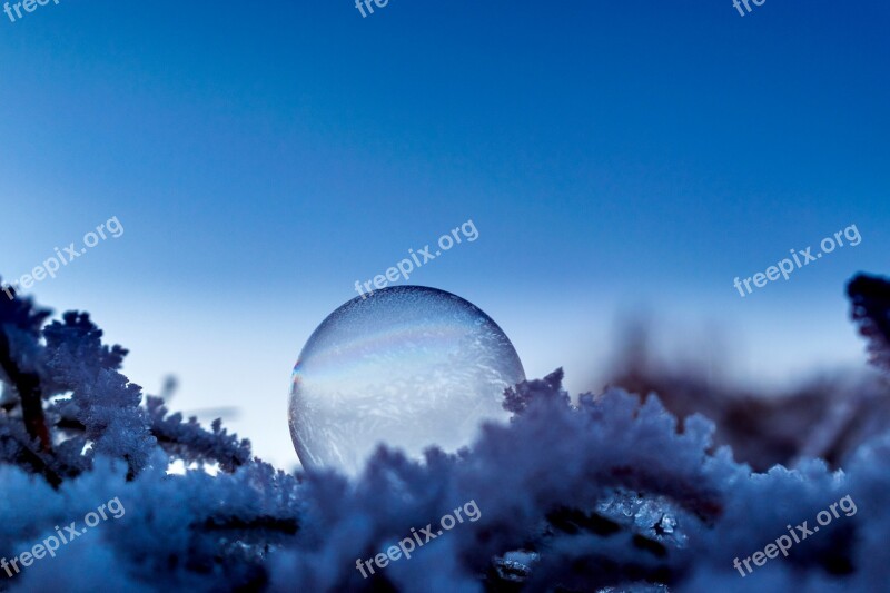 Soap Bubble Seifenblase Frozen Ice Cold Winter