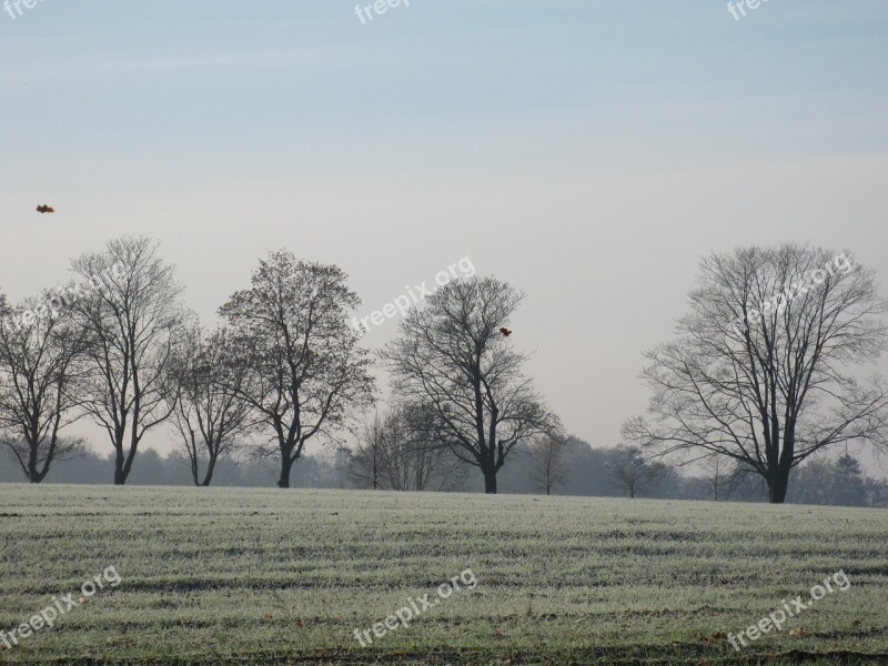 Nature Trees On Feldrand Winter Landscape Edge Of Field