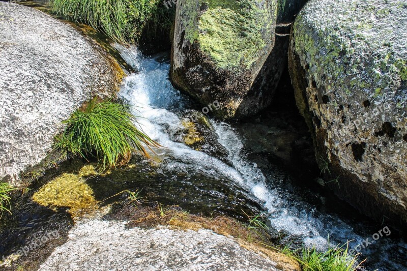 Nature Agua Rio Wild Nature Beach