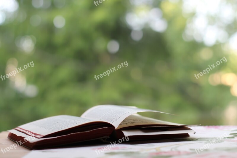 Book Table Open Book Forest Trees