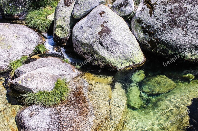 Nature Agua Rio Wild Nature Beach