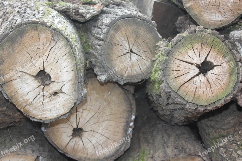 Log Annual Zone Firewood Usd Free Photos