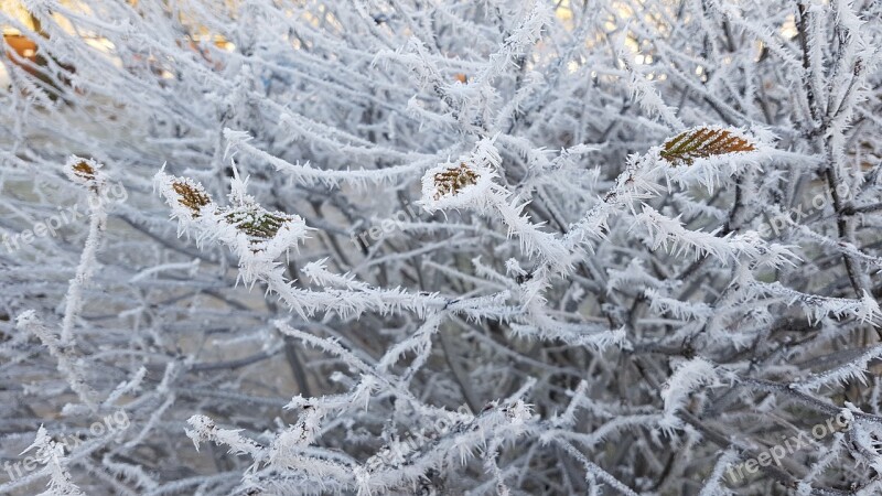 Winter Christmas Advent Snow Crystal Crystal