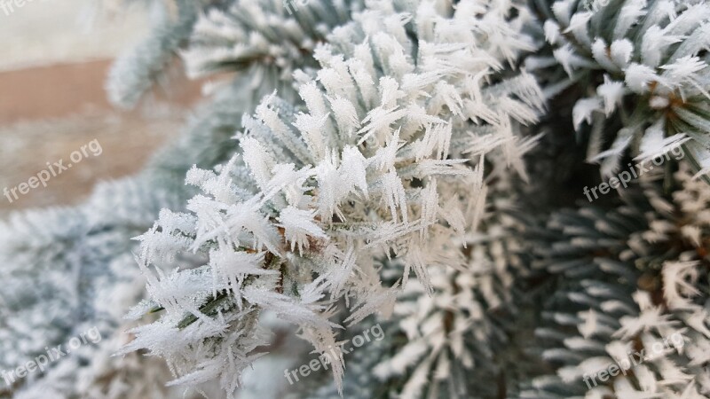 Winter Christmas Advent Snow Crystal Crystal