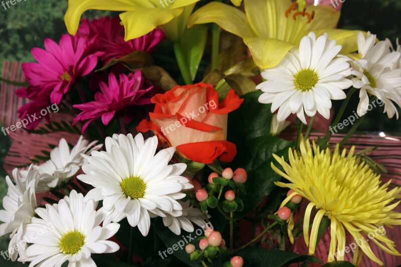 Flower Bouquet Rose Daisy Red White