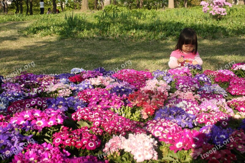 Flowers Children Al Green Moon Rock Grassland Spring