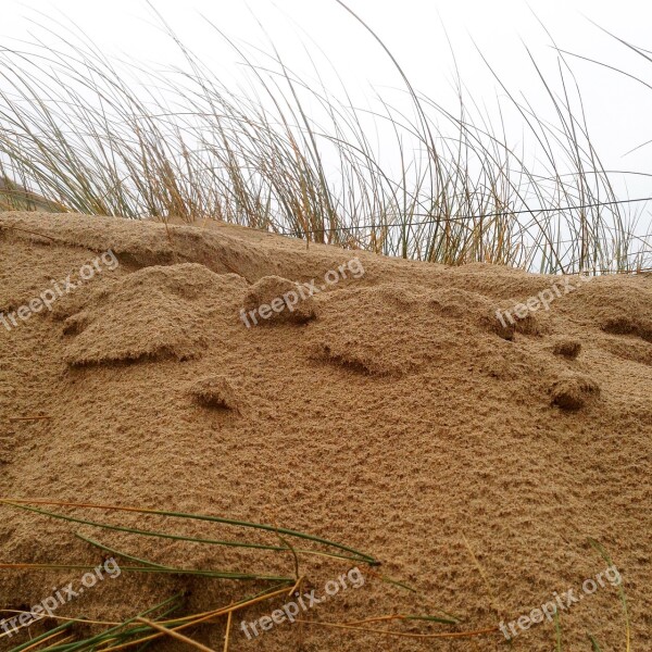 Dune Sand Coast Sand Dunes Nature