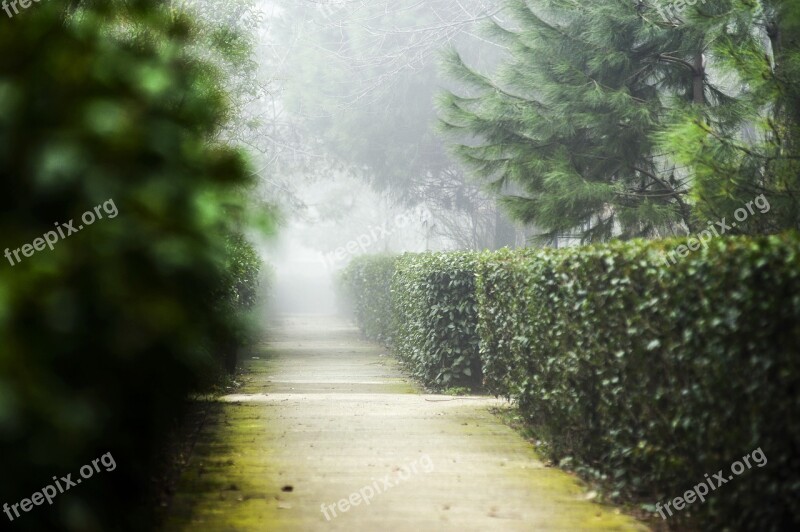 Beylikdüzü Istanbul City Park Fog