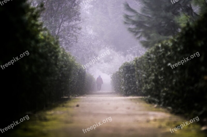 Beylikdüzü Istanbul City Park Fog