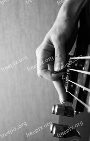 Music Bas-guitar Strings Bw Photo