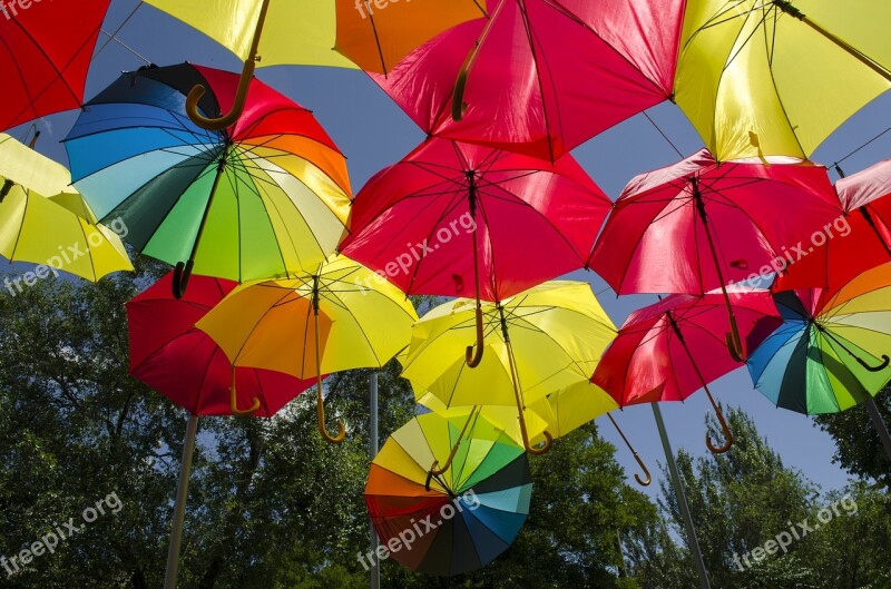 Umbrella Umbrellas Colors Free Photos