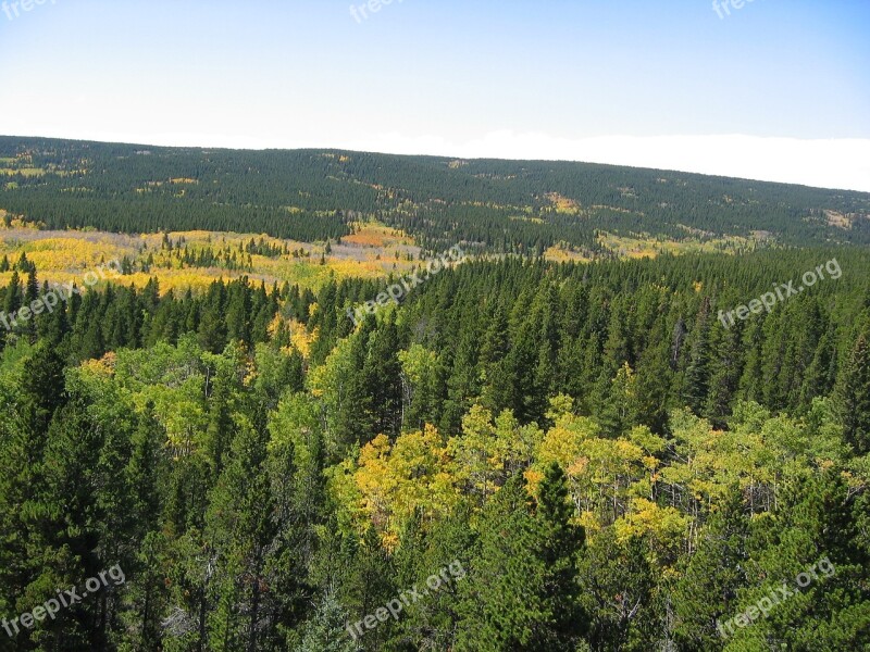 Trees Rocky Mountains Forest Background Landscape