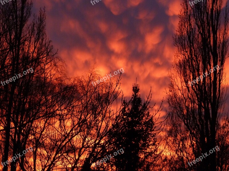 Afterglow Sunset Evening Sky Red Trees