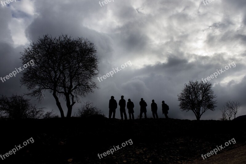 Silhouette Tree Reverse Light Sky Cloud