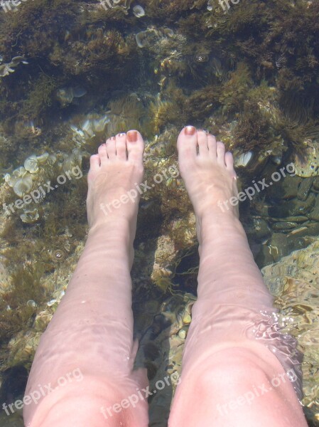 Feet Water Relax Nature Beach