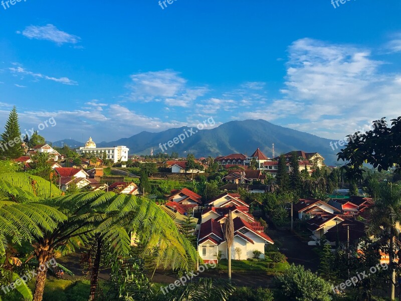 West Java Indonesia Palm Trees Tropics Tropical