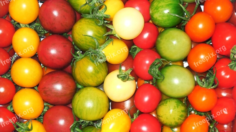 Tomato Petit Tomatoes Red Cherry Tomato Colorful