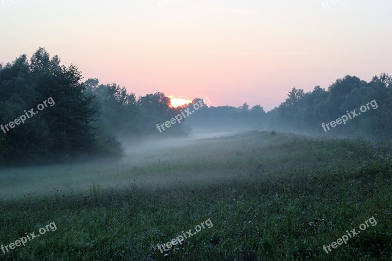 Nature Foggy Sunrise Landscape Meadow