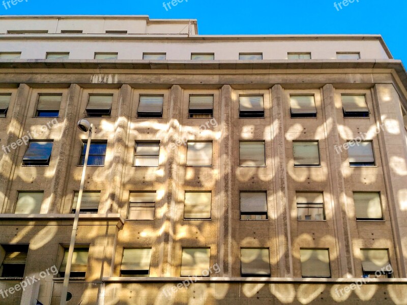 Building Facade Reflexion Urban City