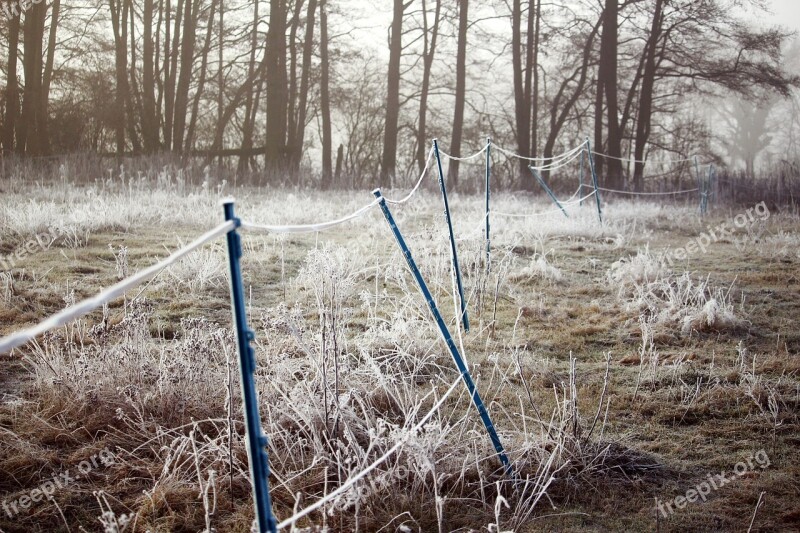 Hoarfrost Fence Winter Frozen Frost