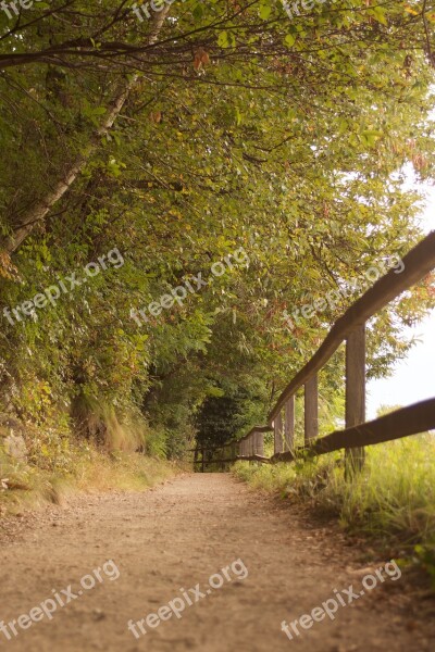 Trail Waalweg Italy Meran South Tyrol