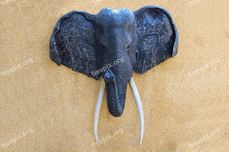 Elephant Head Wall Plaque Head Animal Head Trophy