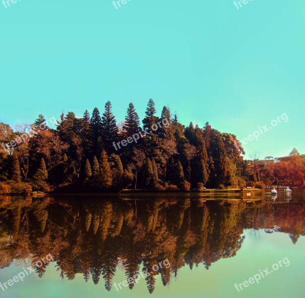 Park Trees Nature Green Forest