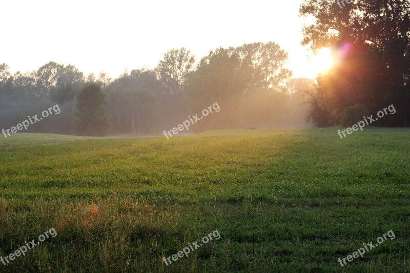 Season Autumn Foggy Nature Meadow