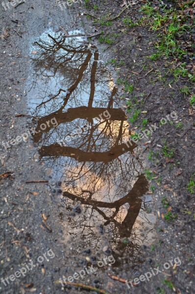 Autumn Winter Puddle Mirroring Viewing