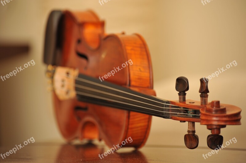 Violin Instrument Music Musical Sound