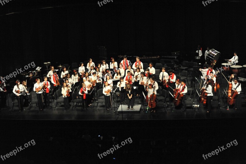 Concert Orchestra Music Musical Classical