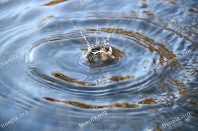 Water Drip Immersion Drop Of Water Wave