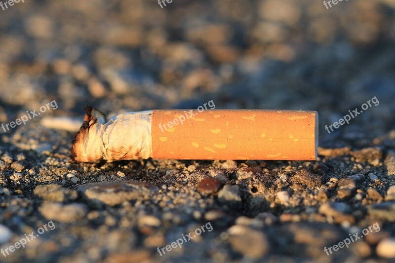 Cigarette Stub Cheroot Cigarette End Smoking