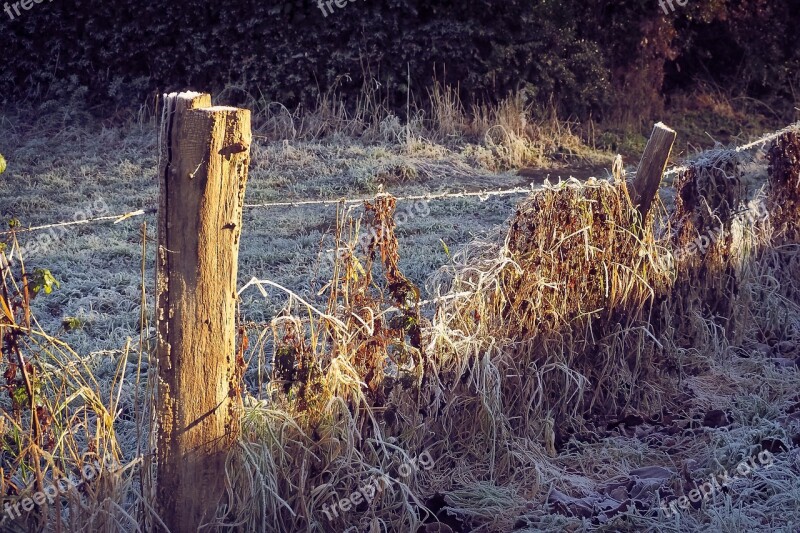 Landscape Nature Mood Bluegrass Fence