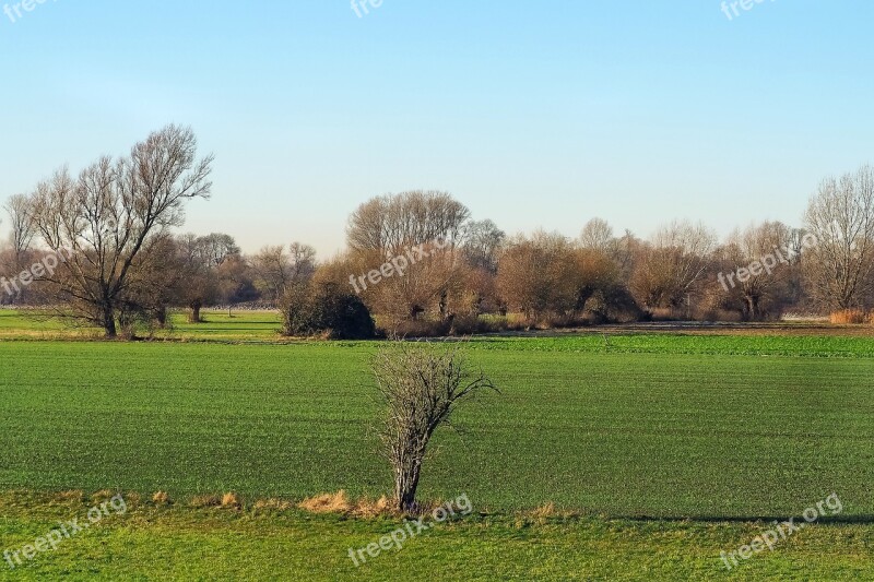 Landscape Nature Mood Sky Trees