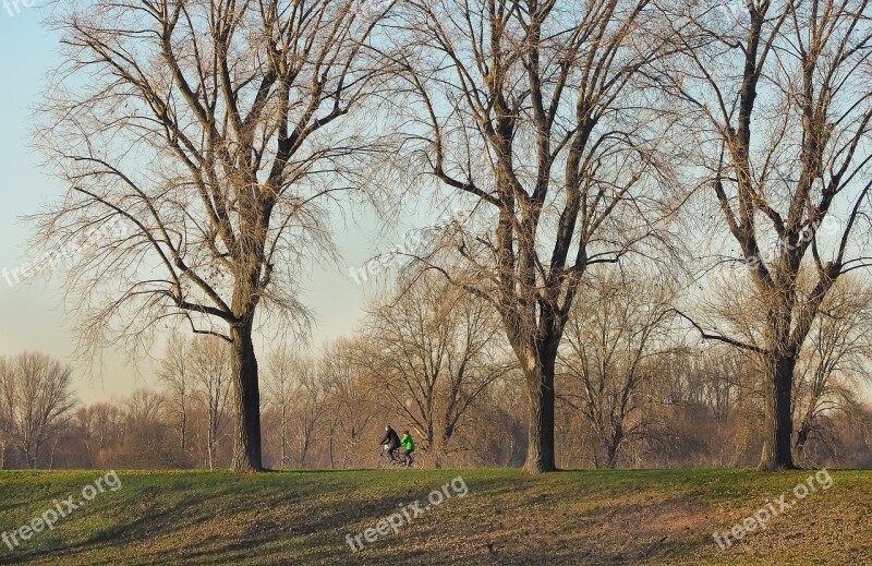 Landscape Nature Mood Sky Trees