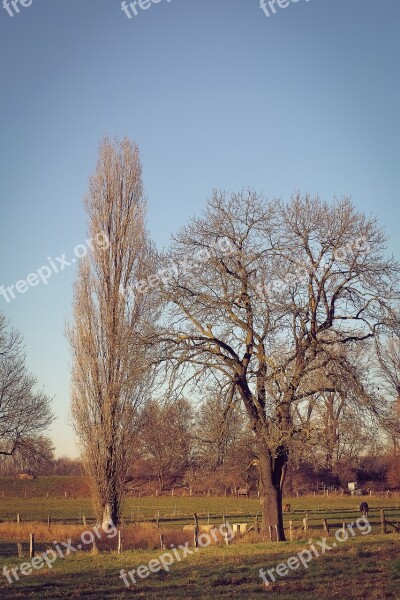 Landscape Nature Mood Sky Trees