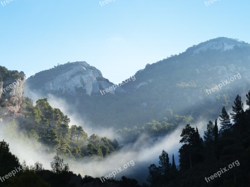 Fog Mountain Trees Mystery Montsant