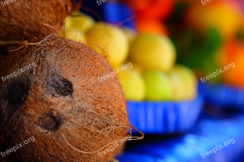 India Coconut Fruit Tropical Fruit Tropical Fruits