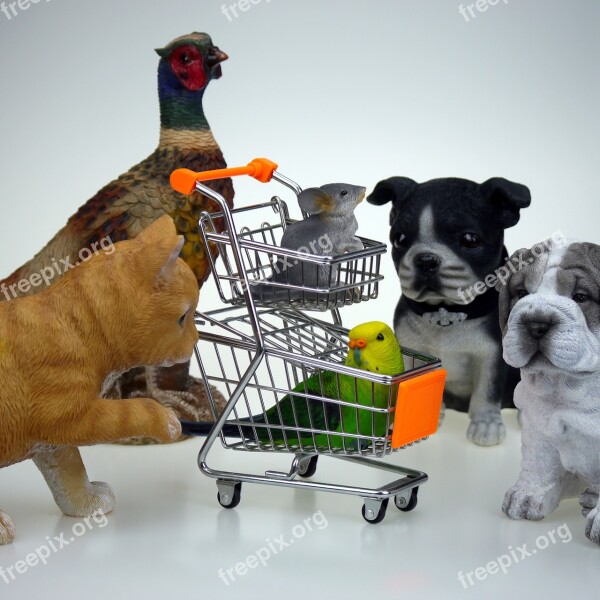 Shopping Shop Animals Business Shopping Baskets