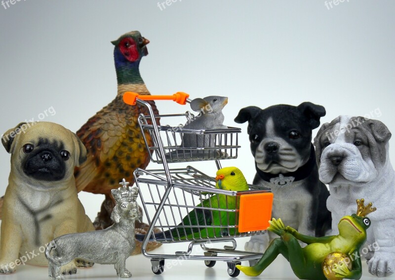 Shopping Shop Pet Food Dogs Frog