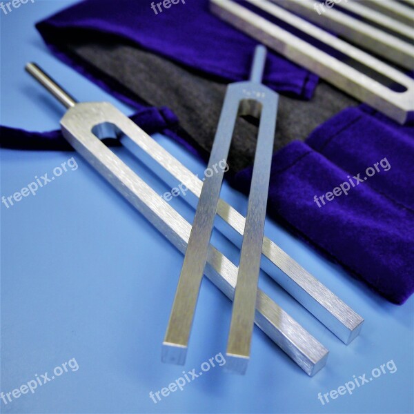 Tuning Fork Healing Brain Tuner Bio Sonics Eeg Adjustment