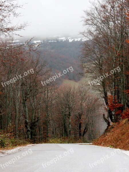 Fog Mountain Autumn Landscape Foggy