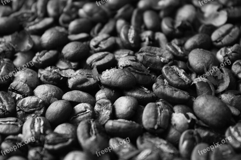 Coffee Beans Roasted Free Photos