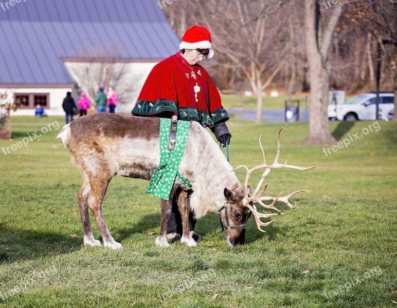 Reindeer Christmas Animal Holiday Antlers