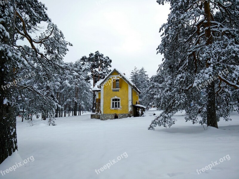 Zlatibor Mountain Yellow House House Trees