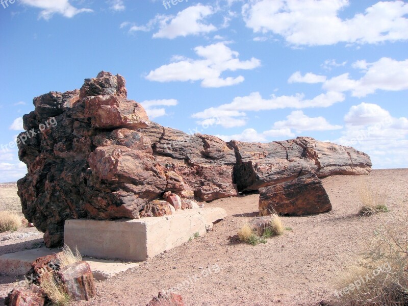 Petrified Forest National Park Petrified Fossils National Park America